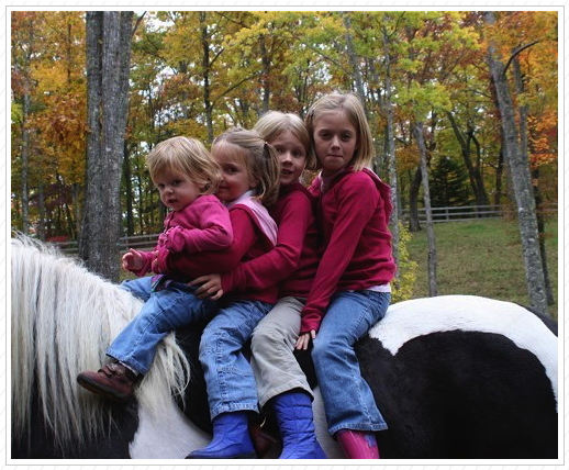 4 on a horse???