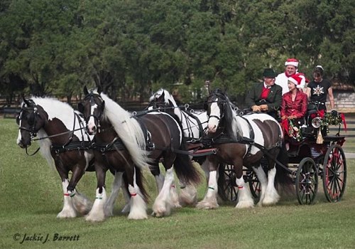 Gloria Austin’s Christmas Parade.