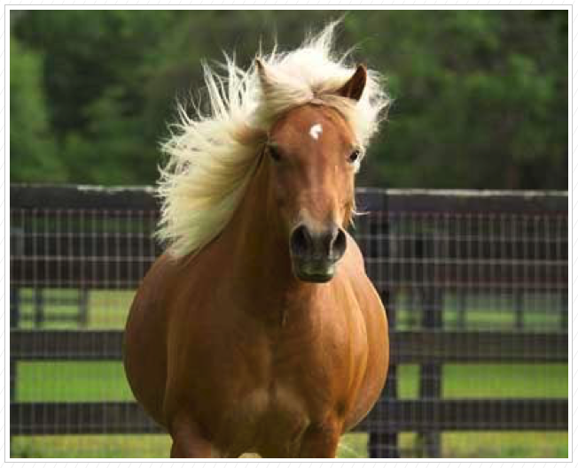 A Fabulous Head! A Fabulous Head!