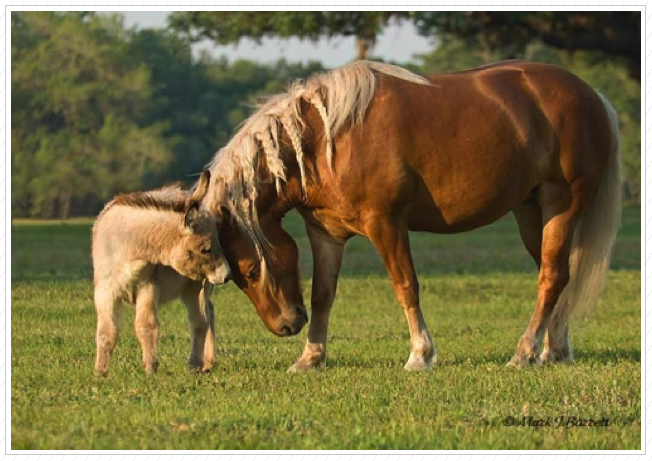 Best friends!