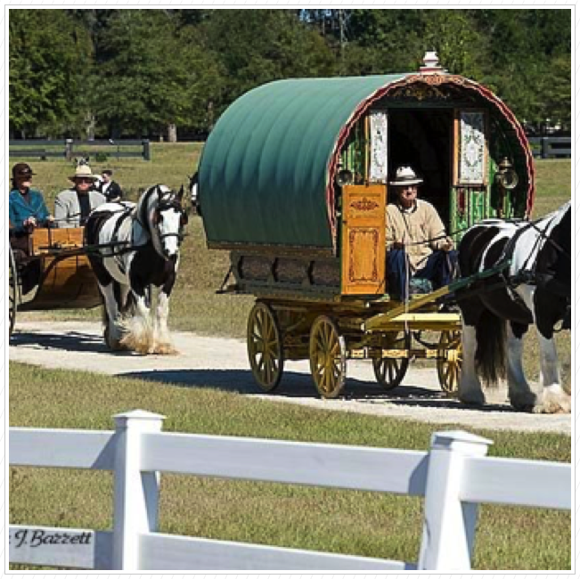 The 2008 Ocala Expo.