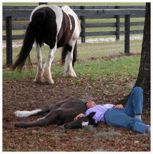 Nap time.
Wendy and Puddin giving Essy a break.