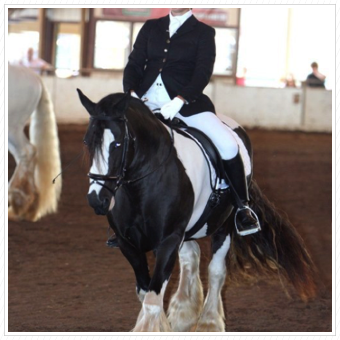 Kuchi in Dressage with Heather.