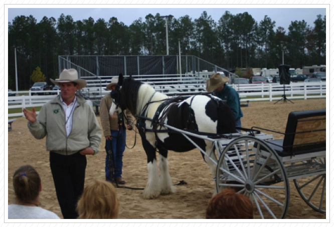 Steve Bowers with Esmeralda.