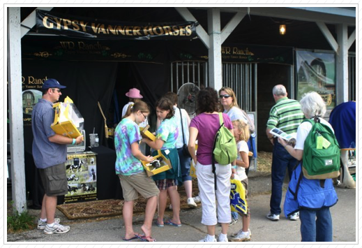 Hundreds of people line up for autographs. Hundreds of people line up for autographs.