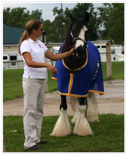 Kuchi & Heather at the Breyerfest.