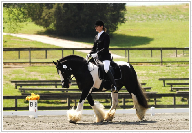 Landrum Dressage Show