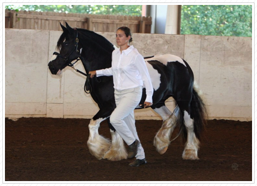 In step with the trainer.