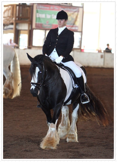 Dressage