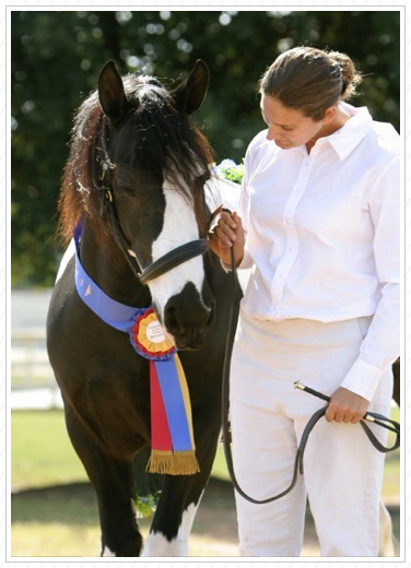 My favorite show photo. My favorite show photo.