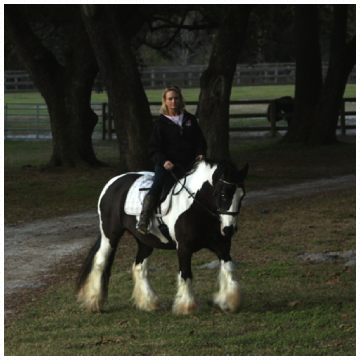 Maranda riding Kuchi.