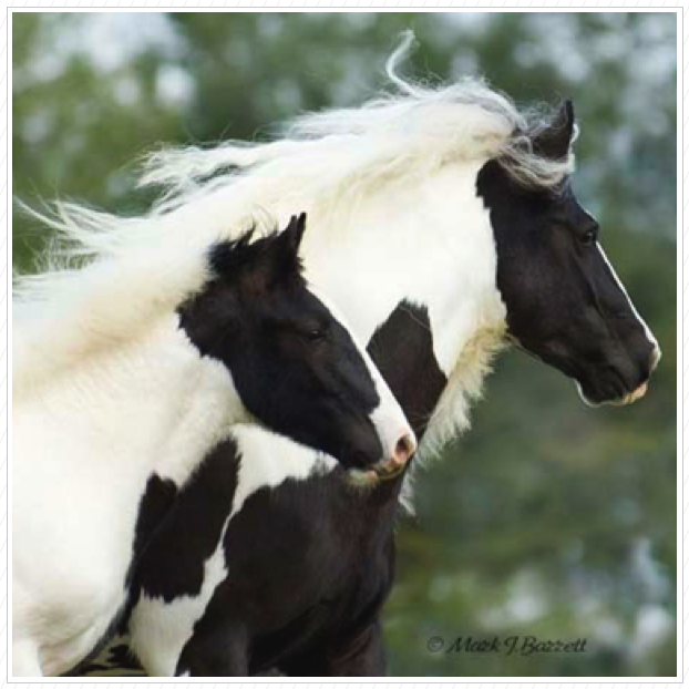 Like mother, Like Son! Like mother, Like Son!