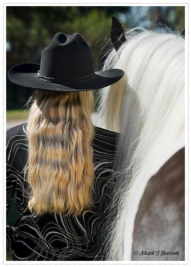 Who has the better mane? Who has the better mane?