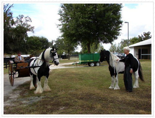 Mother meets daughter,
Jasmine & Fancy.