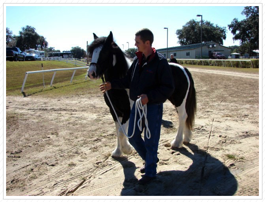 Sean with Fancy. Sean with Fancy.