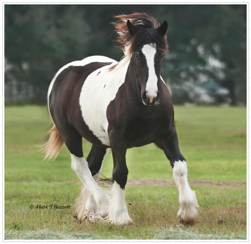 WR Sundance is sold. WR Sundance is sold.