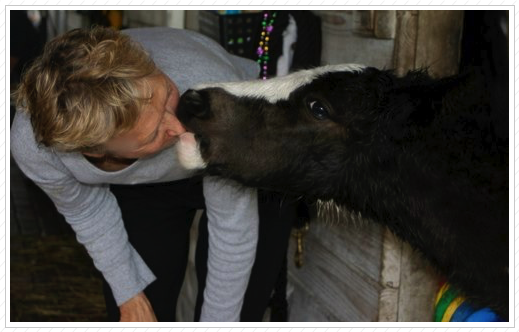 Petal loves mom.