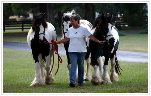 Petal, ER & Kuchi with Linda.