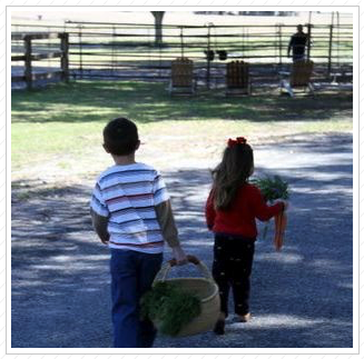 Off to feed horses. Off to feed horses.