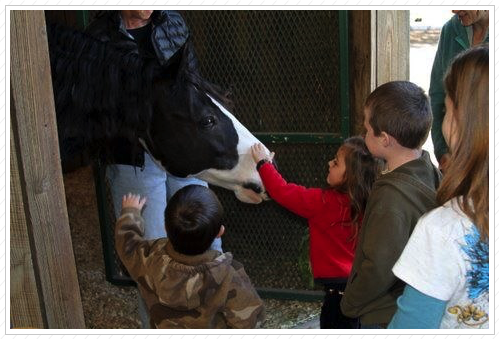 Kuchi loves children. Kuchi loves children.