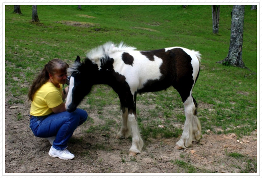 Cutie Pie with new owner. Cutie Pie with new owner.