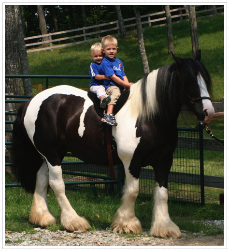 Essy & cowboys. Essy & cowboys.