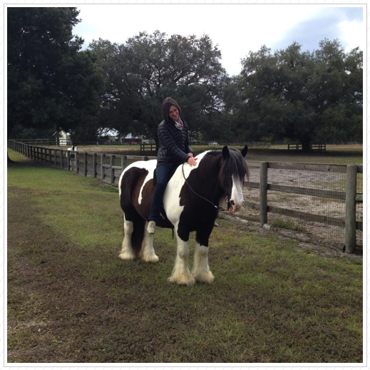 Ally (from New Zealand) riding Essy. Ally (from New Zealand) riding Essy.
