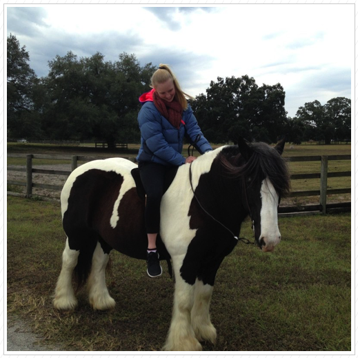 Lizzie (from New Zealand ) riding Essy. Lizzie (from New Zealand ) riding Essy.