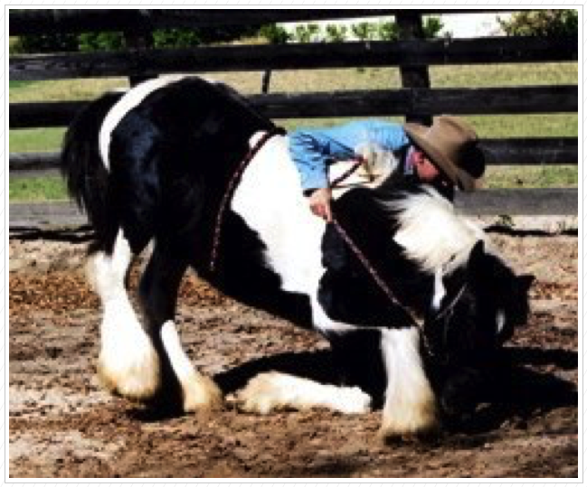 learning to bow by bruce feiler learning to bow by bruce feiler